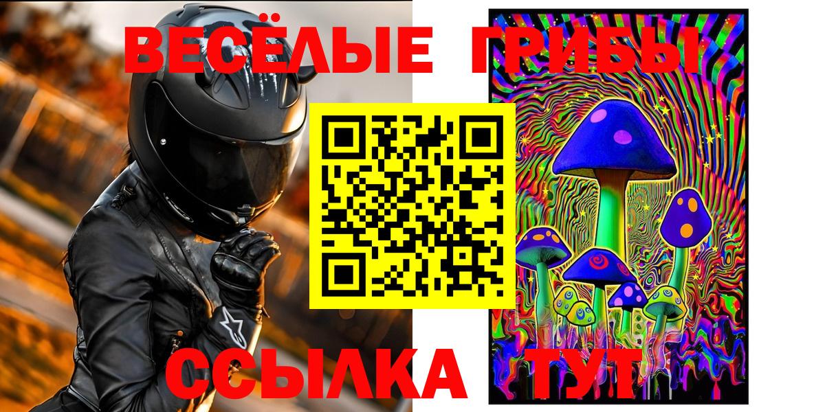 Бийск  Псилоцибиновые грибы Cubensis  как найти наркотики  Вход с VPN 
