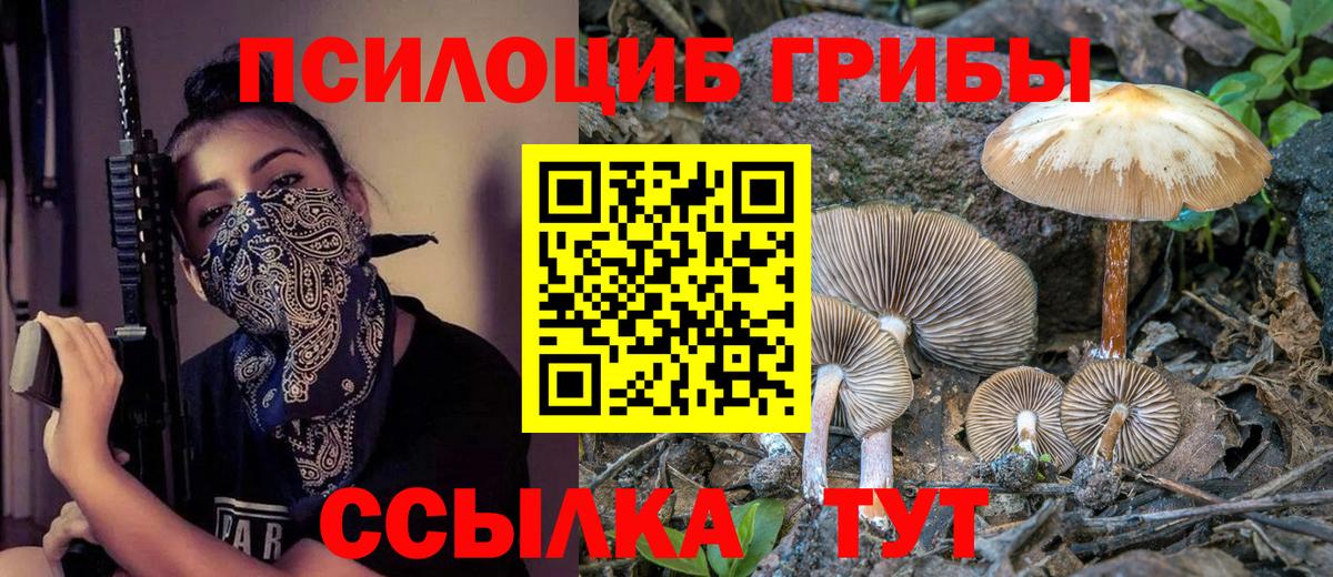 Псилоцибиновые грибы GOLDEN TEACHER Бийск